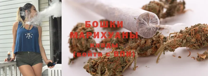 mega ссылки  Андреаполь  Марихуана SATIVA & INDICA 